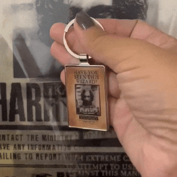Exclusive: 3D Lenticular HP Daily Prophet and Undesirable Keyrings - LIMITED EDITION